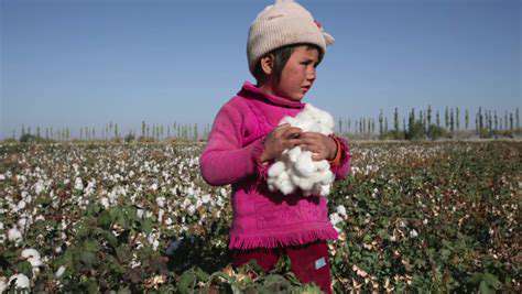 ThePervasiveProblemofChildLaborinFashion