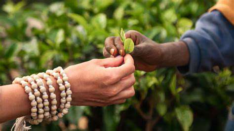 Ethical Sourcing and Environmental Justice: Interconnectedness: New Insights
