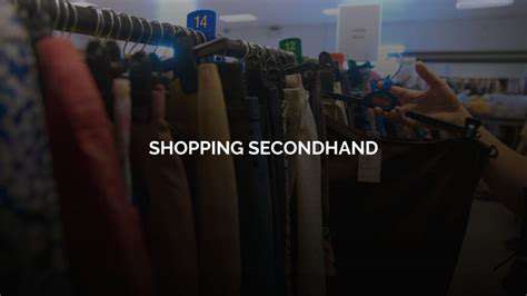 ShoppingSmart:EthicalBrandsandSecondhandStyle